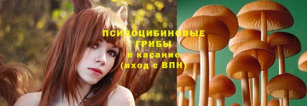 хмурый Зеленодольск